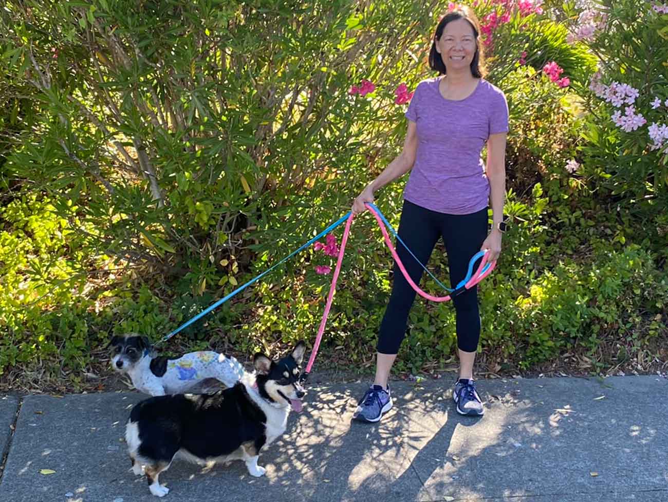 希瑟·韦斯特摩兰（Heather Westmoreland）在恢复健康的道路上走她的狗。