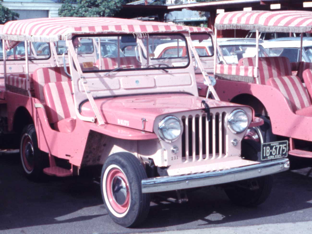 粉红色的吉普车萨里有粉红色和白色的条纹席位和流苏